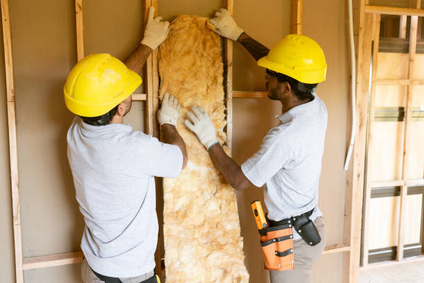 Best Insulation Air Sealing  in Birngham, MI